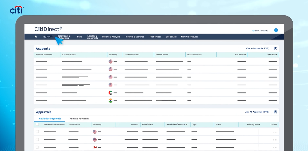 NextGen CitiDirect® Client Videos (Spanish - Español)
