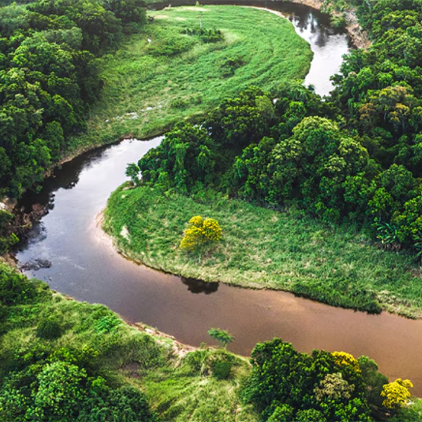 Where Can We Take You? Brazil